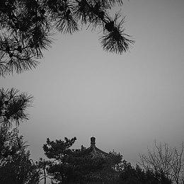 《我的世界》基岩版世界编辑模式泄露 正在开发中